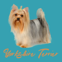 Dog Beautiful Yorkshire Terrier Especially For Yorkie Dog Lovers Puppy Dyed Cap | Artistshot