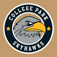 College Park Skyhawks Urban Heavy T-shirt | Artistshot