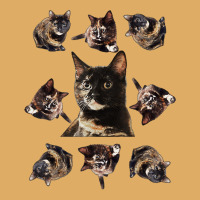 Tortie Cat Tortoiseshell Overload Multi Cat T Shirt Urban Heavy T-shirt | Artistshot