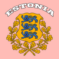 Estonia T Shirt Coat Of Arms Tee Flag Souvenir Tallinn T Shirt Urban Heavy T-shirt | Artistshot