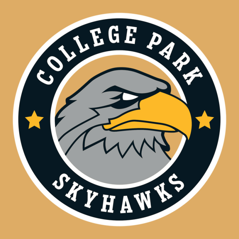 College Park Skyhawks Urban Pullover Hoodie | Artistshot