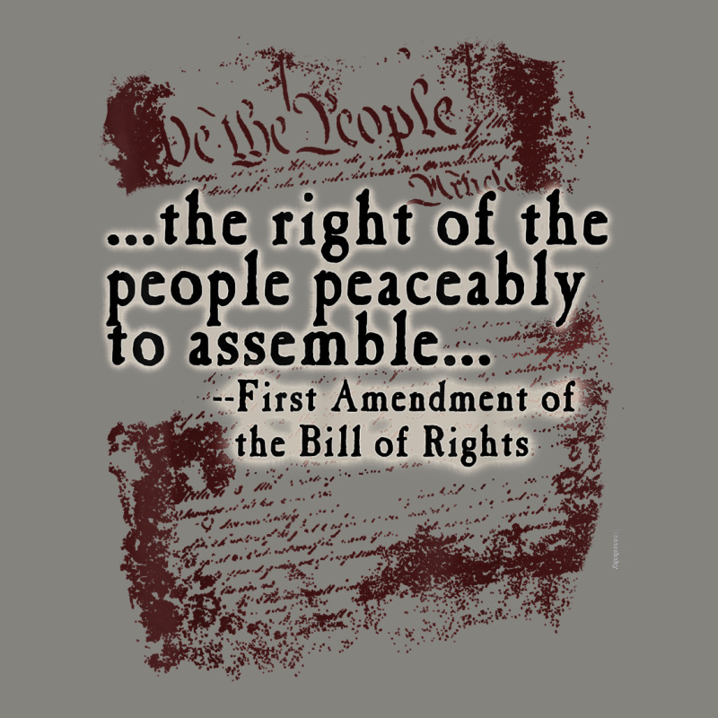 First Amendment Right Of Assembly Tshirt Dyed Cap by nayarilorenzi | Artistshot