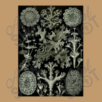 Lichen By Ernst Urban Heavy T-shirt | Artistshot