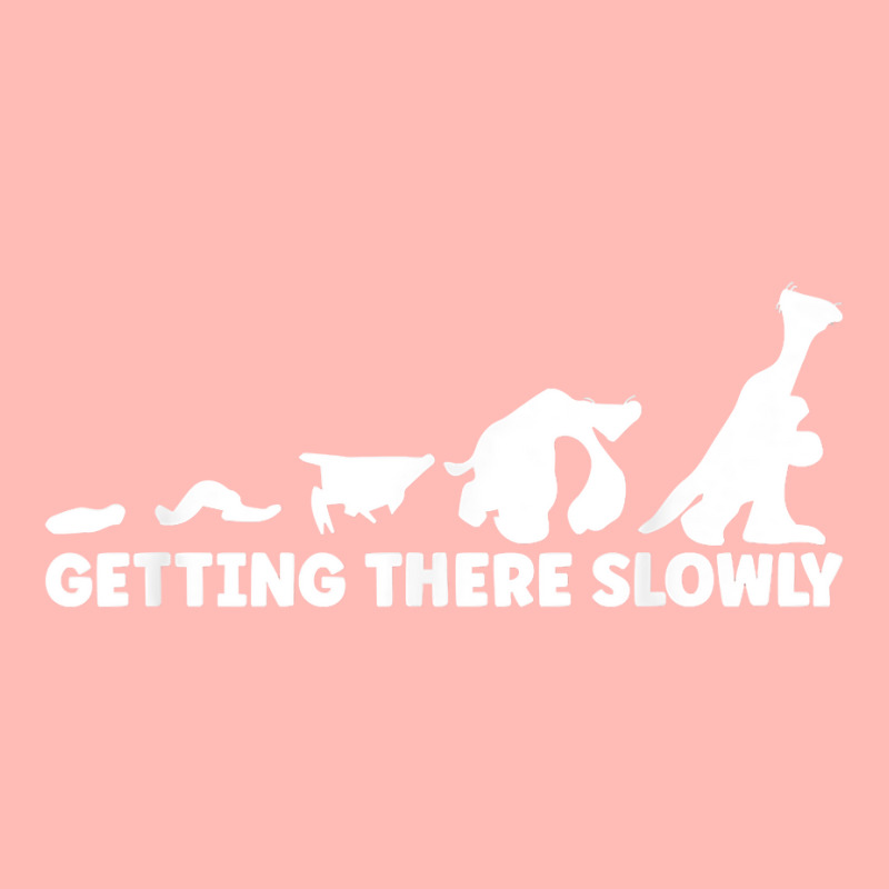 Sloth Evolution Timeline For Sloth Lover T Shirt Urban Heavy T-shirt by riogasehzilahiy | Artistshot