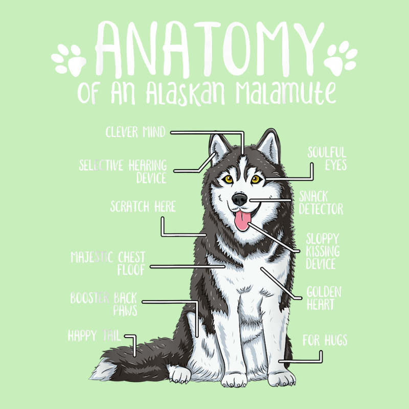 Funny Anatomy Alaskan Malamute Dog Lover T Shirt Urban Pullover Hoodie | Artistshot