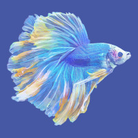 Paradise Betta T  Shirt Paradise Betta Fish T  Shirt Pom Pom Beanie | Artistshot