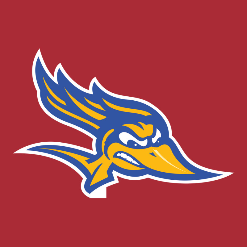 Cal State Bakersfield Roadrunners Dyed Cap by Julien | Artistshot