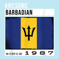 Awesome Barbadian Since 1987   Barbadian 35th Birthday T Shirt Urban Heavy T-shirt | Artistshot