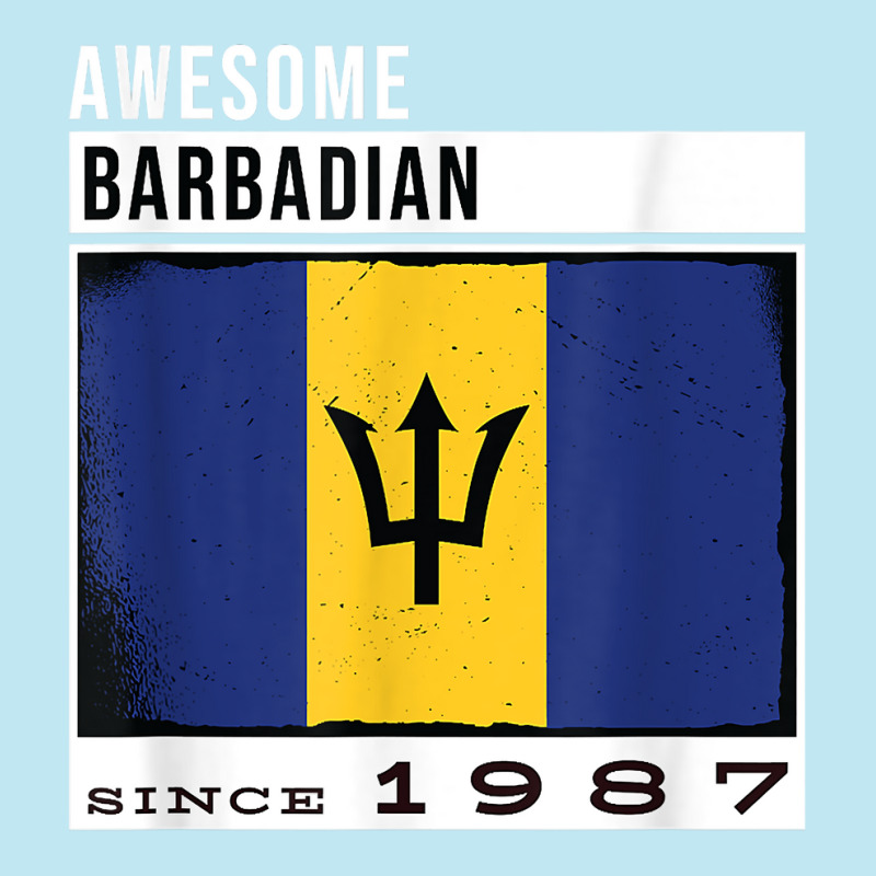 Awesome Barbadian Since 1987   Barbadian 35th Birthday T Shirt Urban Heavy T-shirt by cm-arts | Artistshot