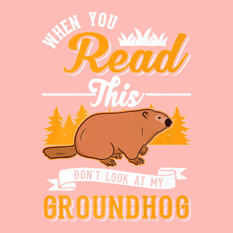 36.when You Read This Don't Look At My Groundhog Marmot Premium Urban Pullover Hoodie by LisaMarieRangel | Artistshot