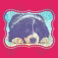 Border Collie Puppy Pom Pom Beanie | Artistshot