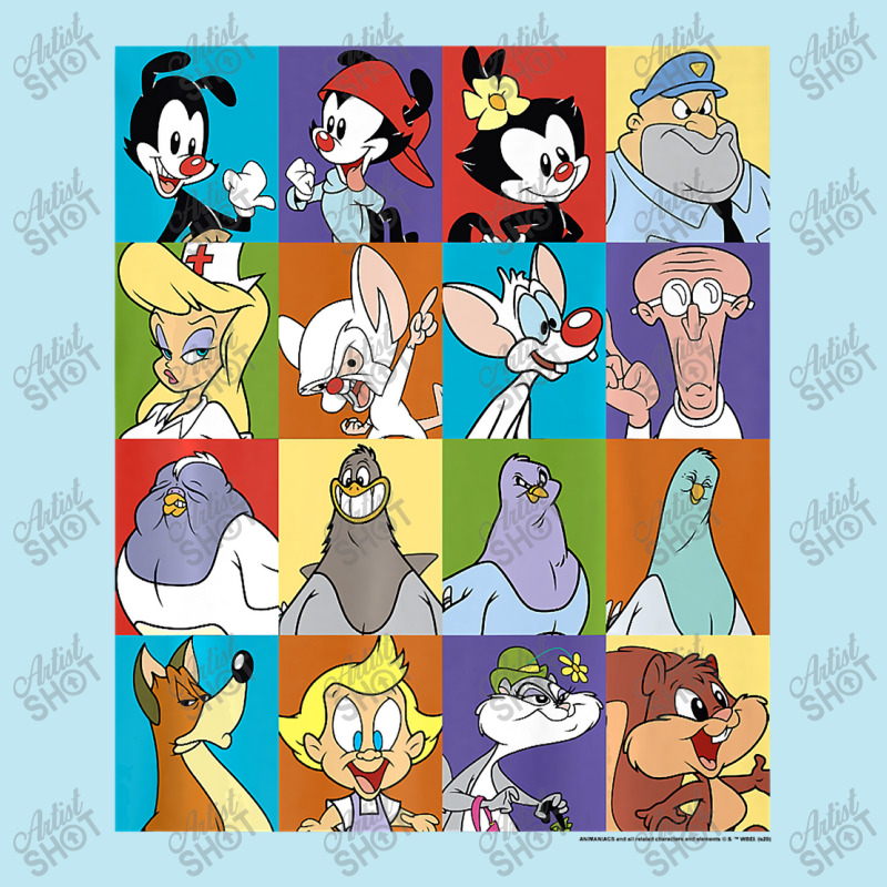 Animaniacs Character Box Up Premium Urban Heavy T-shirt | Artistshot