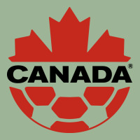 Canada National Football Urban Heavy T-shirt | Artistshot