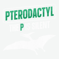 Cool Pterodactyl T  Shirt1558 Urban Heavy T-shirt | Artistshot