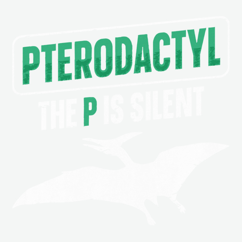 Cool Pterodactyl T  Shirt1558 Urban Heavy T-shirt | Artistshot