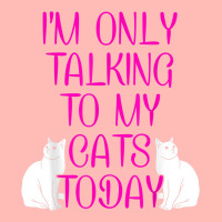 Im Only Talking To My Cat Cat Lover Cat Owner Pet Animals Urban Heavy T-shirt | Artistshot