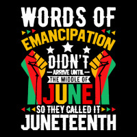 Juneteenth Gifts T  Shirt Words Of Emancipation Didn't Arrive Afro Ame Pom Pom Beanie | Artistshot