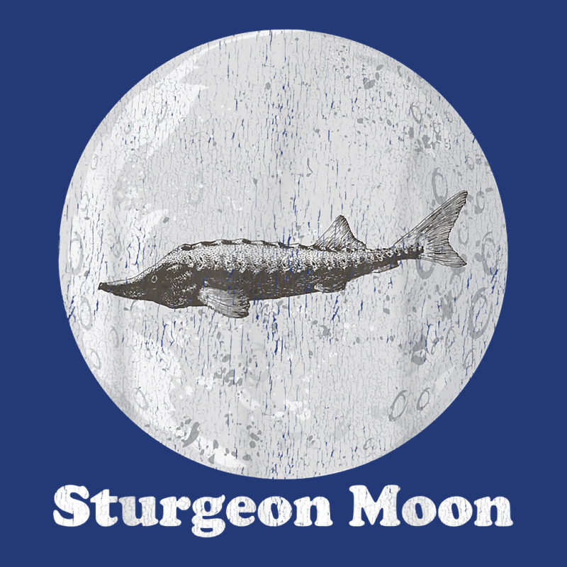 Sturgeon Moon Astrology Full Moon Space Science Moon Phase T Shirt Mesh Back Trucker Hat by BeanblossomSheldon | Artistshot