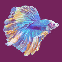 Paradise Betta T  Shirt Paradise Betta Fish T  Shirt Tie Dyed Bucket Hat | Artistshot