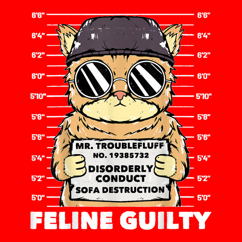 Funny Cat  Feline Guilty  Guilty Cat Trouble Fluff Mugshot Bomber Jacket | Artistshot