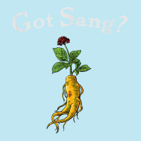 American Ginseng Got Sang T Shirt Urban Heavy T-shirt | Artistshot