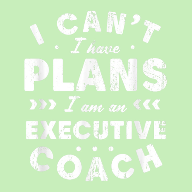 I Can't I Have Plans Executive Coach Funny Leader Humor Urban Heavy T-shirt by Sapphire | Artistshot