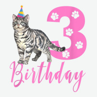 Cute American Shorthair 3th Birthday Urban Pullover Hoodie | Artistshot