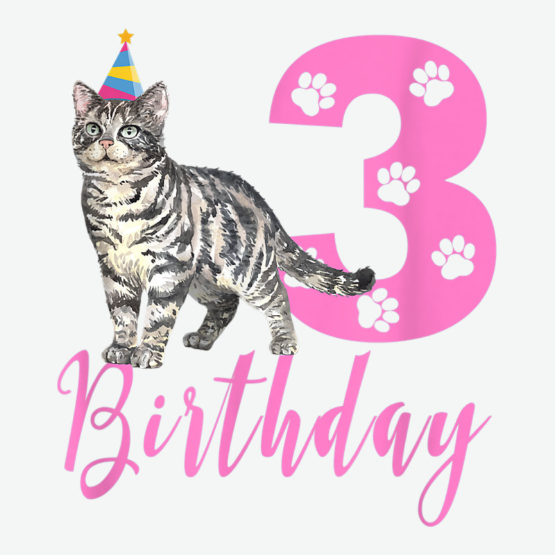 Cute American Shorthair 3th Birthday Urban Pullover Hoodie by Newart | Artistshot