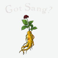 American Ginseng Got Sang T Shirt Urban Pullover Hoodie | Artistshot