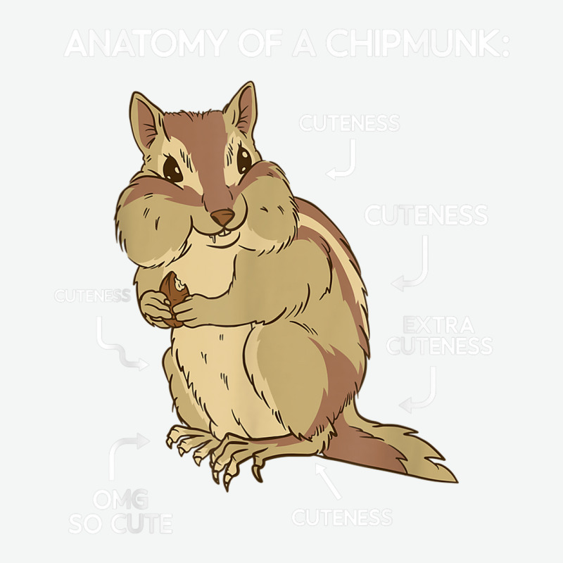 Anatomy Cute Chipmunk Urban Pullover Hoodie | Artistshot