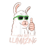 You Are Llamazing   Birthday Party Cool Alpaca Hipster Drips T Shirt Bomber Jacket | Artistshot