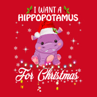 Hippopotamus I Want A Hippopotamus For Christmas Xmas Hippo 1282 Hippo Pom Pom Beanie | Artistshot