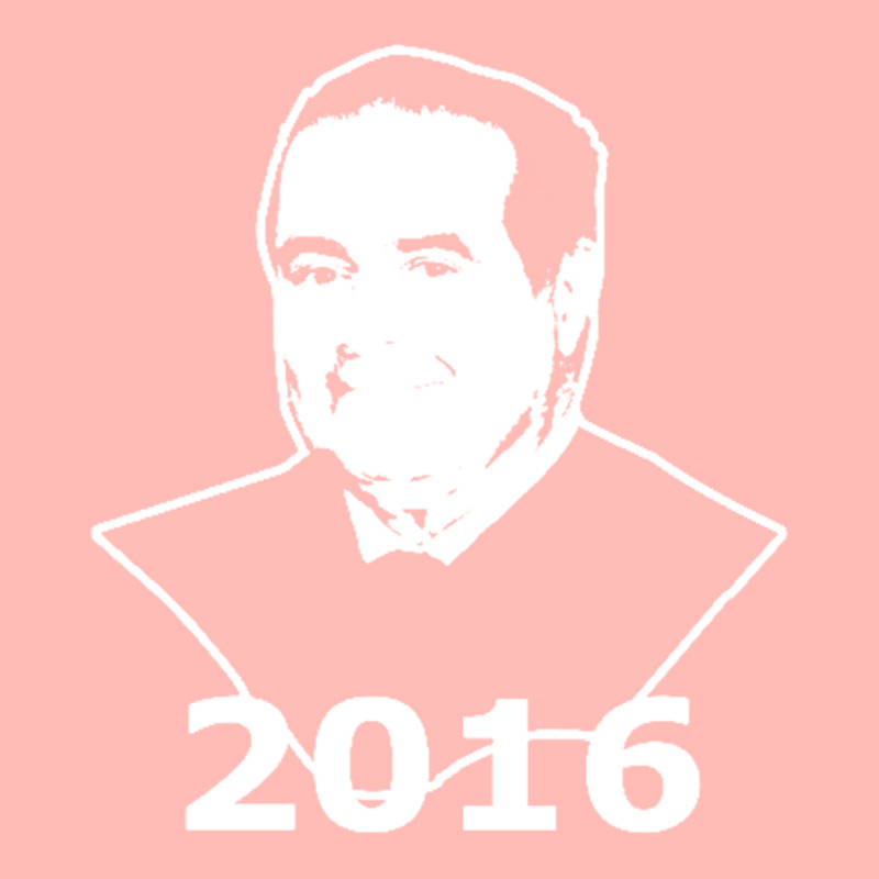 Antonin Scalia 2016 Candidate Urban Heavy T-shirt by cm-arts | Artistshot