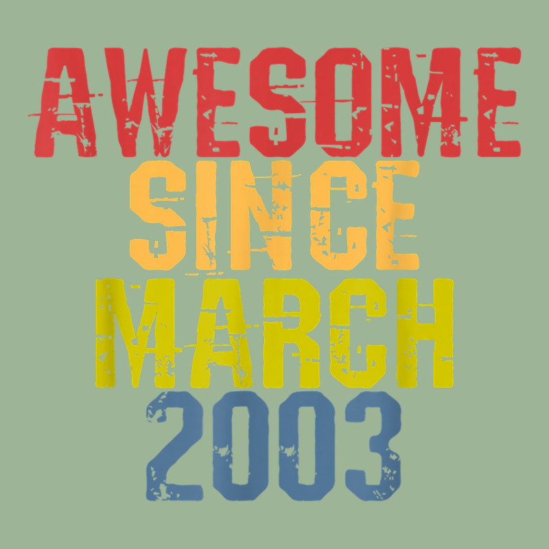 Awesome Since March 2003 Year Old Birthday Retro Urban Heavy T-shirt | Artistshot