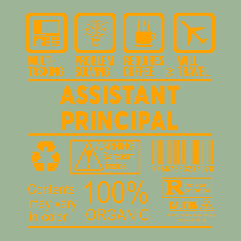 Assistant Principal - Nice Design 2017 Urban Pullover Hoodie by YURIYAMIGUD | Artistshot