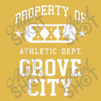 Grove City Xxl Athletic School Property Funny Dyed Cap | Artistshot