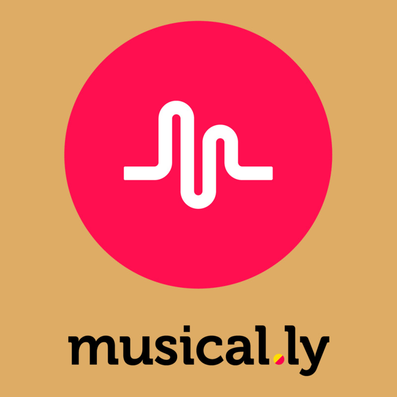 Musical.ly Urban Pullover Hoodie | Artistshot