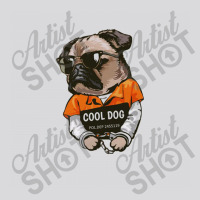 Pug Women's Triblend Scoop T-shirt | Artistshot