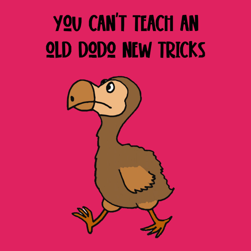 Dodo T  Shirt You Can't Teach An Old Dodo New Tricks Satire T  Shirt Pom Pom Beanie by giraffeleopard | Artistshot