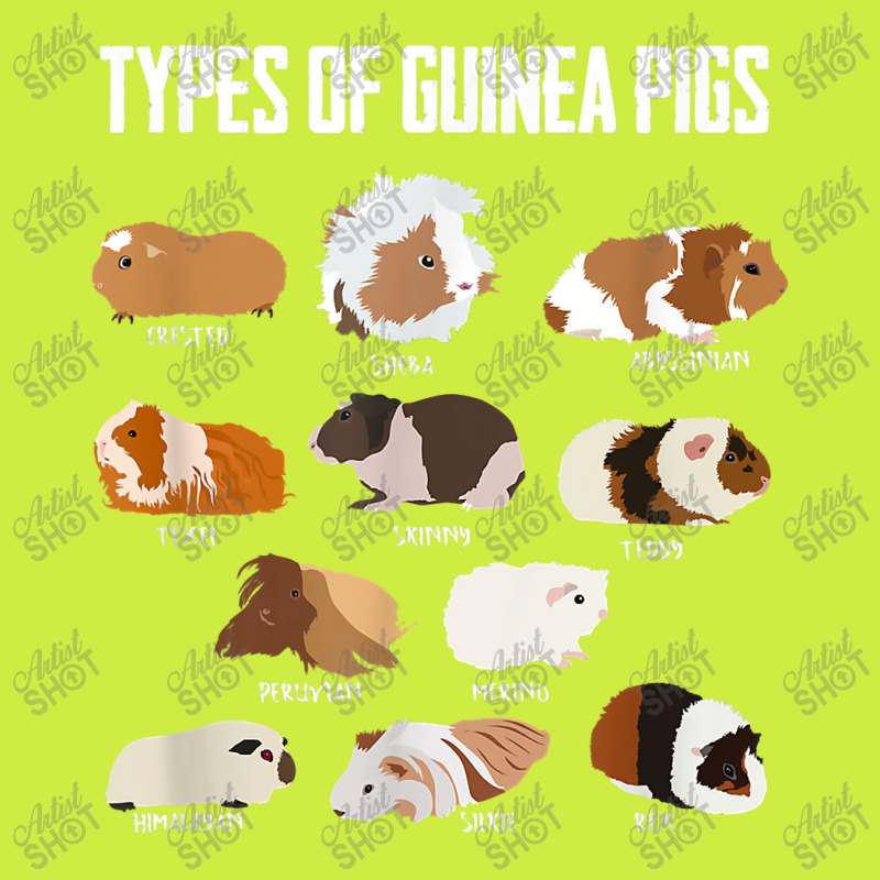 Guinea Pig Girl Design  Types Of Guinea Pigs Guinea Gift Adjustable Baseball Cap by ArtistRaven | Artistshot