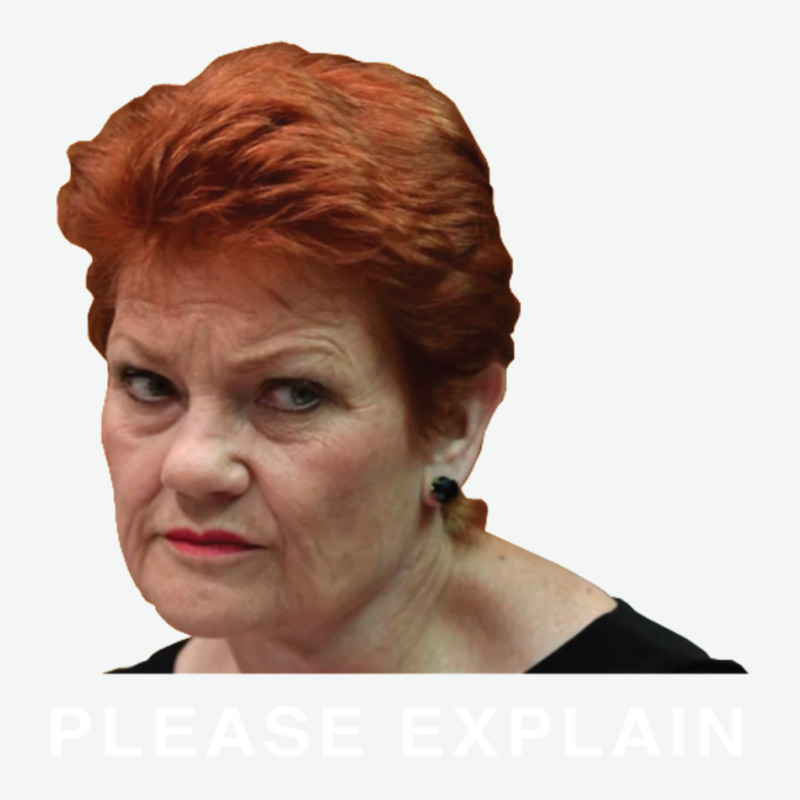 Pauline Hanson - Please Explain Urban Heavy T-shirt by cm-arts | Artistshot