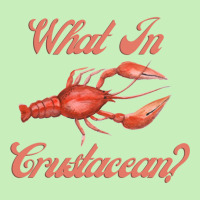 What In Crustacean  Cute Crustaceancore Urban Pullover Hoodie | Artistshot