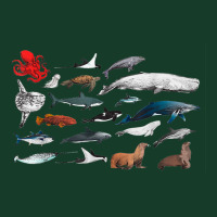 Sea Creatures Collection, Fish Shark Whale Moonfish Fish Motif T Shirt Visor Hat | Artistshot