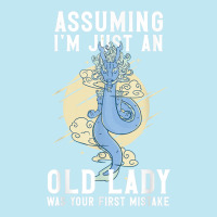 Assuming I'm Just An Old Lady Was Your First Mistake Dragons T Shirt Urban Heavy T-shirt | Artistshot