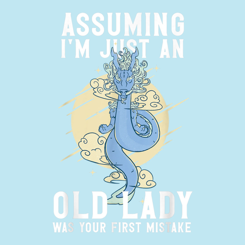 Assuming I'm Just An Old Lady Was Your First Mistake Dragons T Shirt Urban Heavy T-shirt by cm-arts | Artistshot