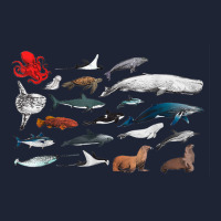 Sea Creatures Collection, Fish Shark Whale Moonfish Fish Motif T Shirt Snapback Trucker Cap | Artistshot