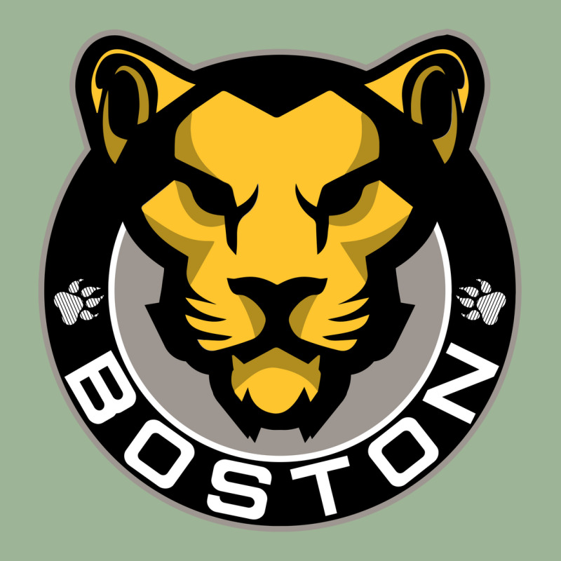 The Boston Pride Urban Heavy T-shirt by aqsat | Artistshot