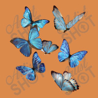 Blue Morpho Butterfly Swarm Lepidoptera Entomology Dyed Cap | Artistshot