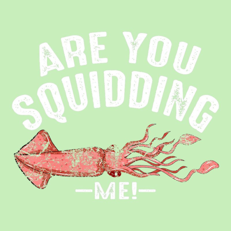 Cool Are You Squidding Me! Squid Fish Lover Urban Heavy T-shirt | Artistshot