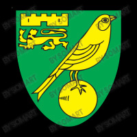 Norwich-fc Youth Hoodie | Artistshot